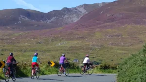 cyclists passing heather covered hills in Ireland.